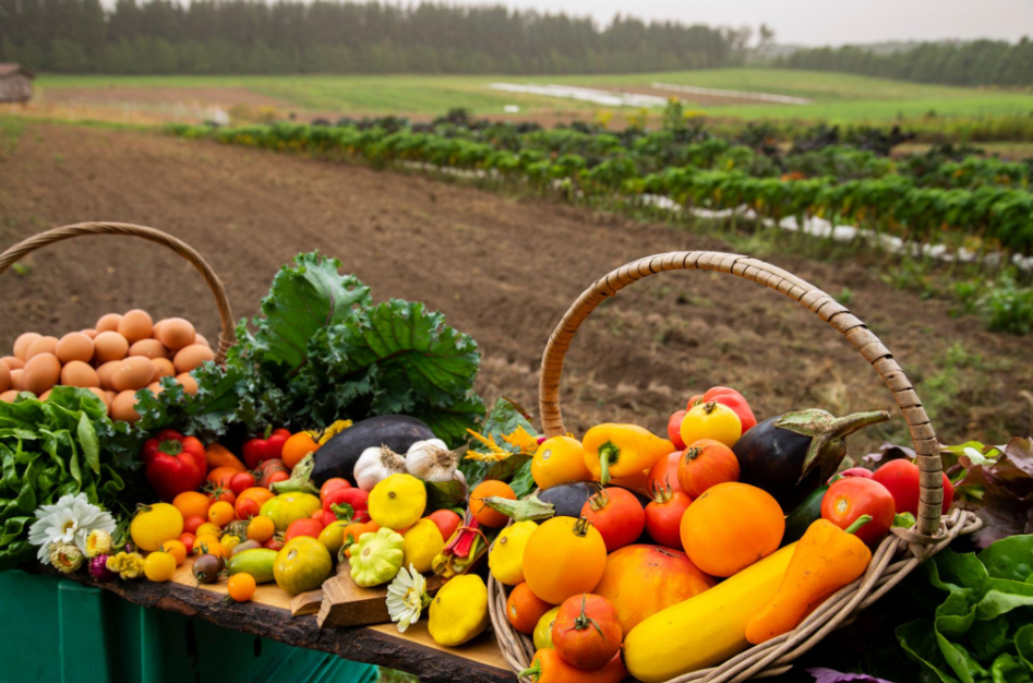 Agricultural Plot in Kharmanaghat - Farm Land 2